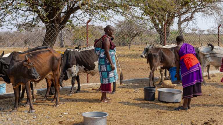 Environment programs have been excluding women for far too long. This is why they need a rethink